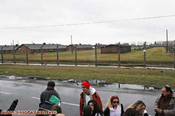 IMG_ (11453)